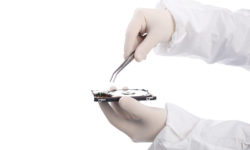 Etiam commodo convallis